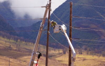 Electric utilities face billions in liability with aging lines