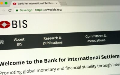 Financial Stability Risks from Cryptoassets in Emerging Market Economies Highlighted by BIS