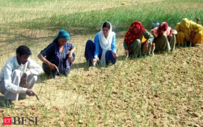 Food inflation worries mount as scanty August rains hit key crops, ET BFSI