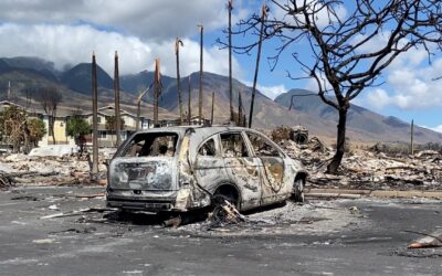 Hawaii taps outside investigator as wildfire response scrutiny grows