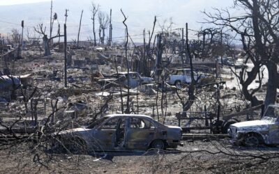 Hawaii wildfires caused up to $6 billion in economic losses