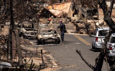 Hawaiian Electric points finger at Maui County over wildfires