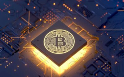 How does the future of cryptocurrency look like in India?, BFSI News, ET BFSI