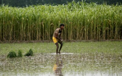 Monsoon deficit worsens, reservoir levels in deficit, ET BFSI