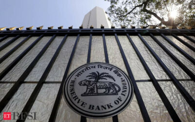 RBI approvers former Citibanker Seshadri as CEO South Indian Bank, ET BFSI