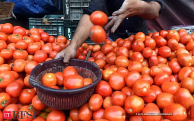Tomato worry to get over, India importing tomatoes from Nepal: FM, ET BFSI