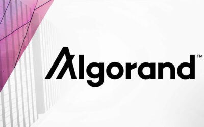 Algorand Foundation Joins Forces with Borderless Capital, Arrington Capital, and DWF to Invest in Pera Algo Wallet