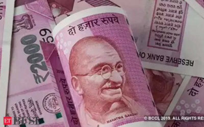 Microfinance lenders need to raise fresh capital in FY25, BFSI News, ET BFSI