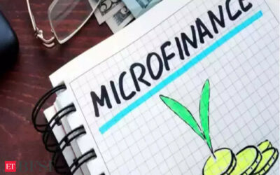 Microfinance players rest easy about loan repayments during election season, ET BFSI