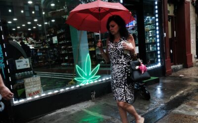 New York legal marijuana program expands retail licenses