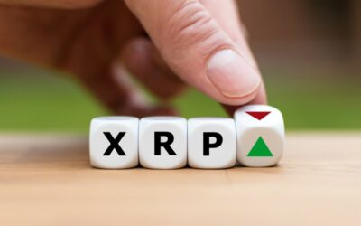 Ripple XRP Joins The Giving Block’s Initiative for Maui Wildfire Relief