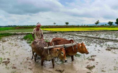 September rains in agricultural regions a good omen for cooling inflation, ET BFSI