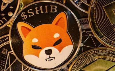 Shiba Inu’s Shibarium Hits 600k Wallets and 700k Transactions