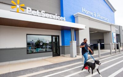 Walmart opens pet center with veterinary care and grooming