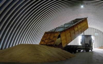 Why is Ukraine suing eastern European countries over grain?