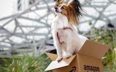Amazon considers offering veterinary telehealth in Walmart competition