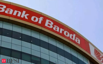 Bank of Baroda faces setback in upcoming festive season business after RBI curbs on app, ET BFSI