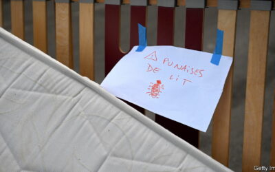 Why France has worked itself into a frenzy about bedbugs