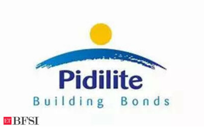 Adhesive maker Pidilite to enter lending business, to acquire promoter group’s NBFC firm, ET BFSI