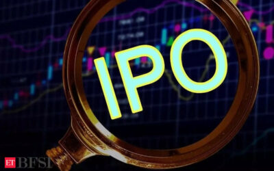 Ahead of IPO, Protean eGov Tech collects Rs 143 crore from anchor investors, ET BFSI