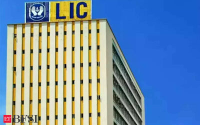 LIC shares jump 10% to record best day since listing, ET BFSI