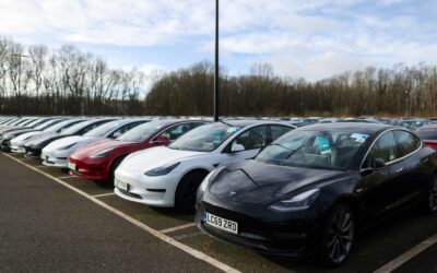 One Tesla manager thinks used cars are ‘absolutely pivotal’ for EVs