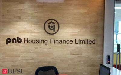 PNB Housing Finance aims to add 60 Roshni branches by FY24-end, ET BFSI
