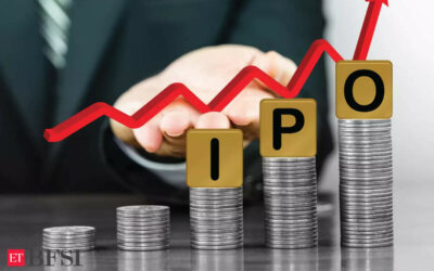 Protean eGov Tech IPO to open on November 6. Here are 10 things to know about the offer, ET BFSI