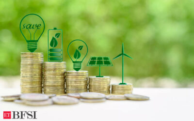 Regulation can lead to more use of green credits in India: RBI, ET BFSI