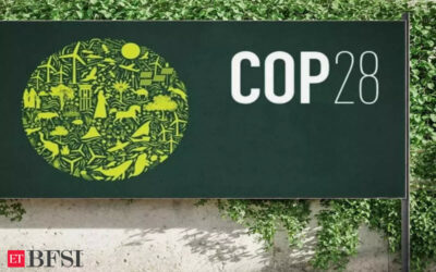 Rich nations may have met $100 billion climate finance goal ahead of COP28: OECD, ET BFSI