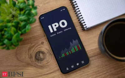 Strictures leave IPO financing at a dead end, BFSI News, ET BFSI