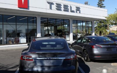 Tesla beats claim that it fired factory workers amid union campaign
