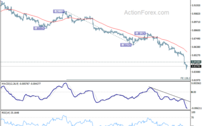 USD/CHF Mid-Day Outlook – Action Forex