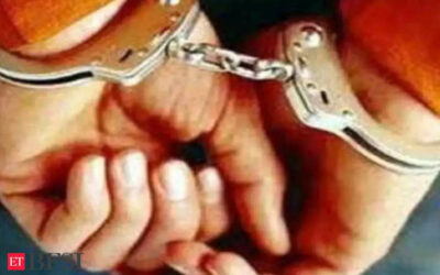 317 arrested for cyber frauds in Faridabad this year, Rs 5.2 crore recovered, ET BFSI