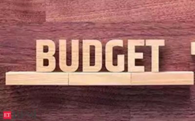 Budget 2024 & EC Code of Conduct: Understanding budget in election year