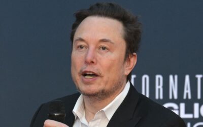 Elon Musk tells Cathie Wood he wants to make X a ‘giant brain’ and financial platform