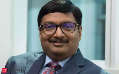 In evolving phase, Fintechs becoming NBFCs, banks becoming combo of three: Shachindra Nath, ET BFSI