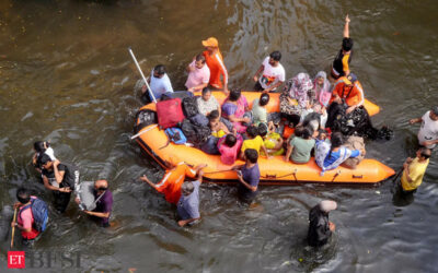 Loss due to Cyclone Michaung expected to be over Rs 11,000 crore, ET BFSI