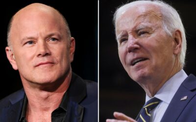 Mike Novogratz won’t help Joe Biden, will back Dean Phillips