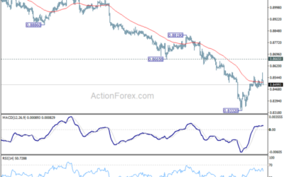 USD/CHF Mid-Day Outlook – Action Forex