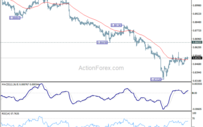 USD/CHF Mid-Day Outlook – Action Forex