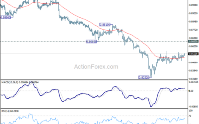 USD/CHF Mid-Day Outlook – Action Forex