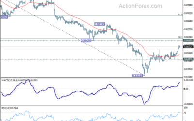 USD/CHF Mid-Day Outlook – Action Forex