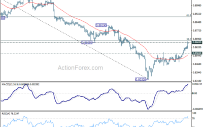 USD/CHF Mid-Day Outlook – Action Forex