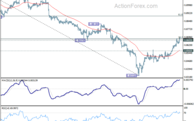 USD/CHF Mid-Day Outlook – Action Forex