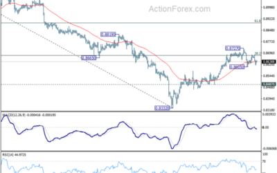 USD/CHF Weekly Outlook – Action Forex