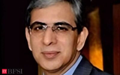 Anil Kaul, Ex-MD of Tata Capital Housing Finance, joins Satin Creditcare board, ET BFSI