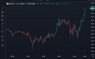 BTC/USD price rising, Who let the dogs out?