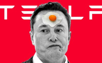 Elon Musk has egg on his face