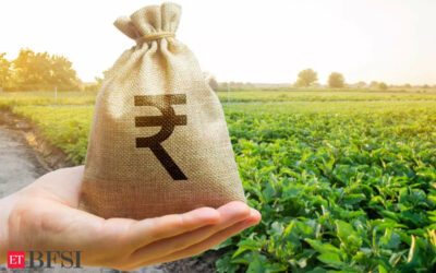 India may allot Rs 4 lakh crore for next year’s food, fertiliser subsidies, ET BFSI